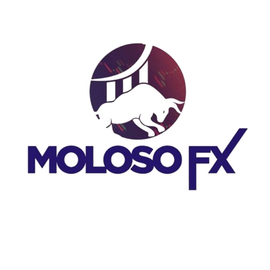 Moloso FX logo